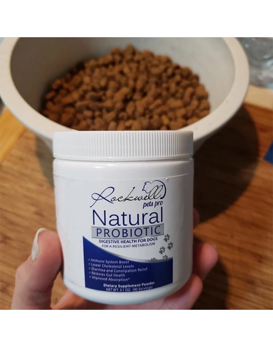 Natural Dog Probiotics