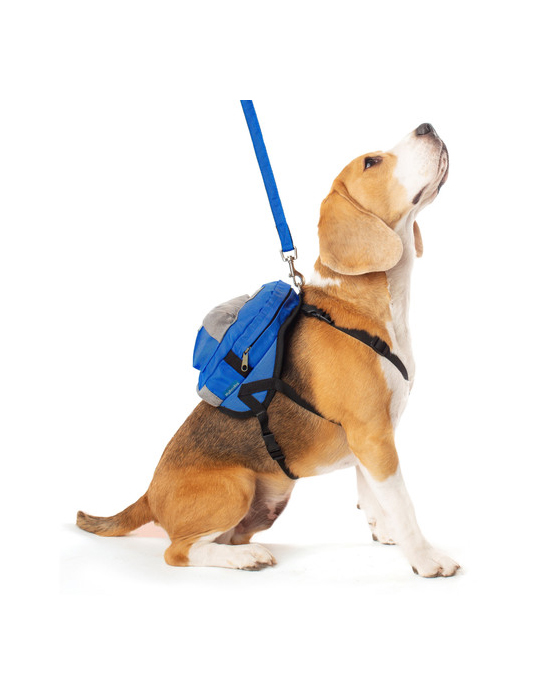 Adjustable Dog Harness Backpack + Leash